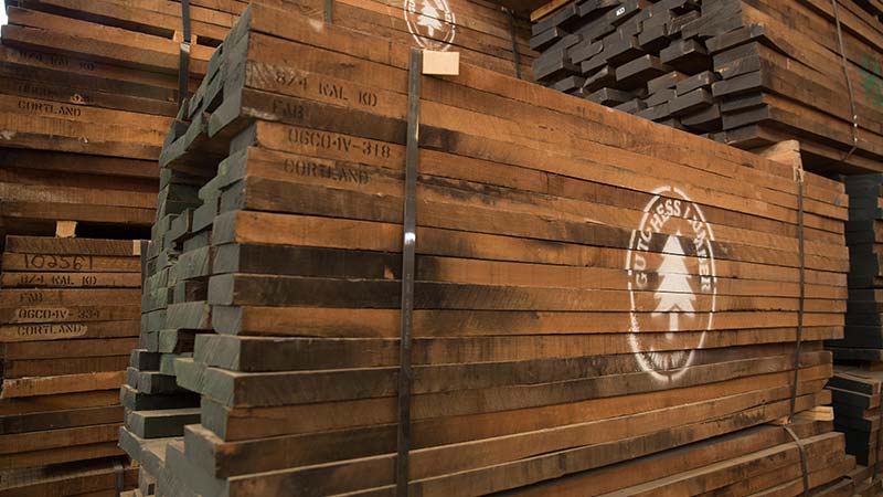 American Black Walnut
