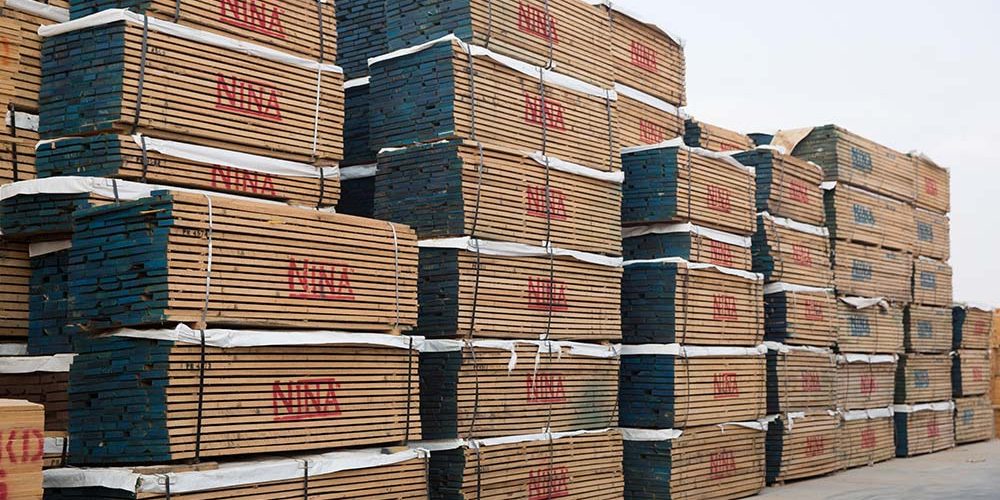 American Red Oak
